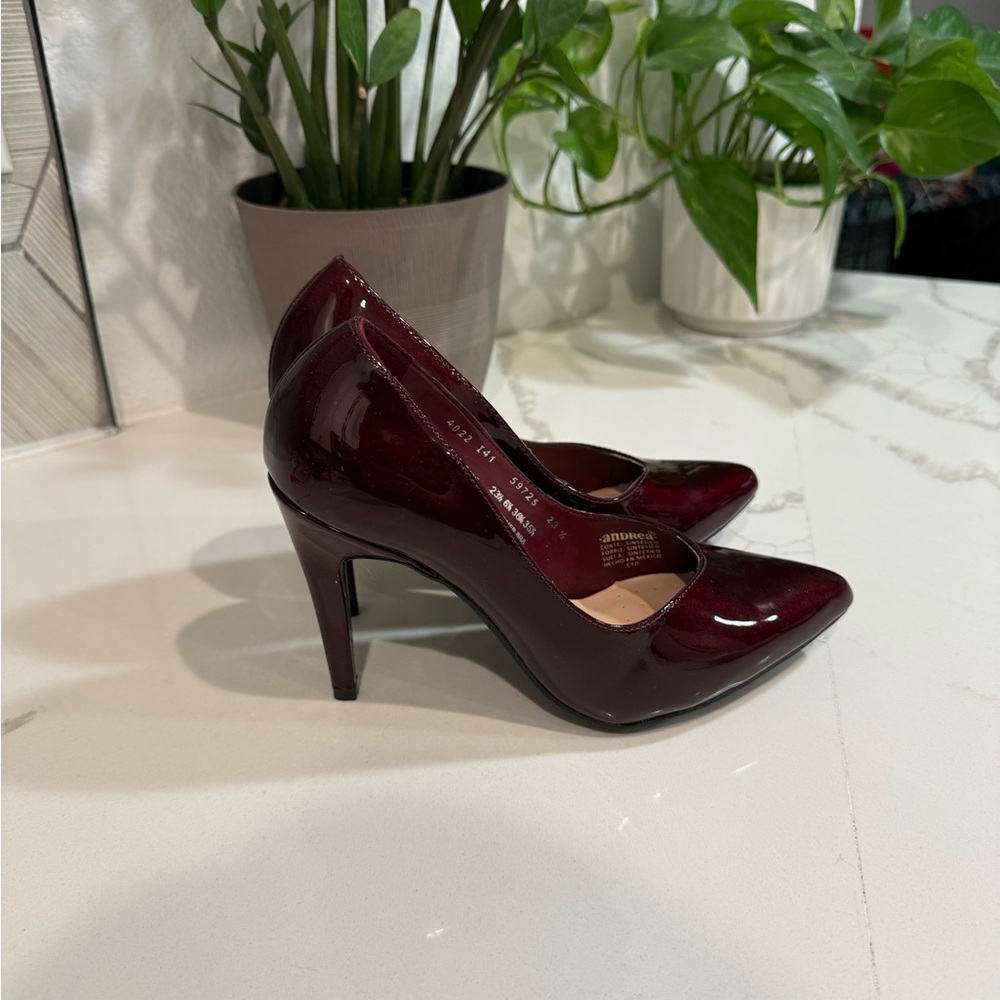 Andrea Elegant Burgundy Heels